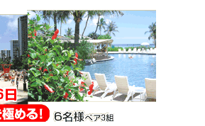 �O���[�r�[�g�W���p���̃L�����y�[�����