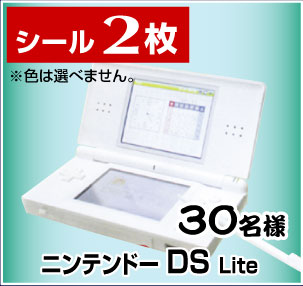 �j���e���h�[ DS Lite