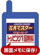 ��ʃ����ɕۑ��I