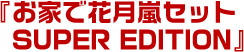 �w���ƂŉԌ����Z�b�g SUPER EDITION�x