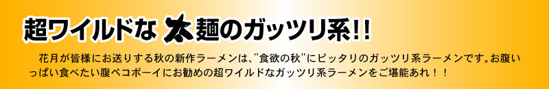 ���[�������Y3