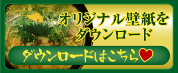 �I���W�i���ǎ����_�E�����[�h