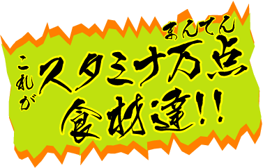 ���ꂪ�X�^�~�i���_�H�ޒB!!