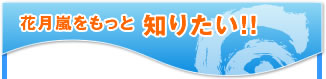 花月嵐をもっと知りたい!!