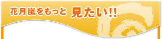 花月嵐をもっと見たい!!
